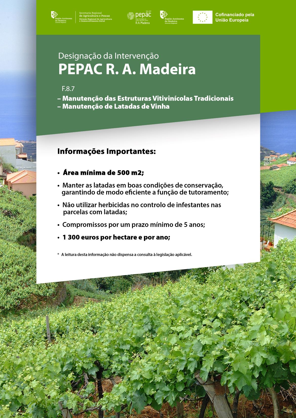 Cartaz F.8.7 Latadas