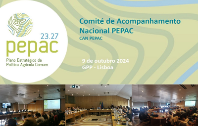 Comite Acompanhamento Nacional PEPAC