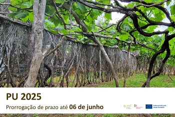 PU2025 mini site 1