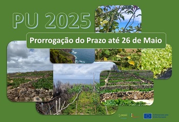 PU2025 prorrogacao mini