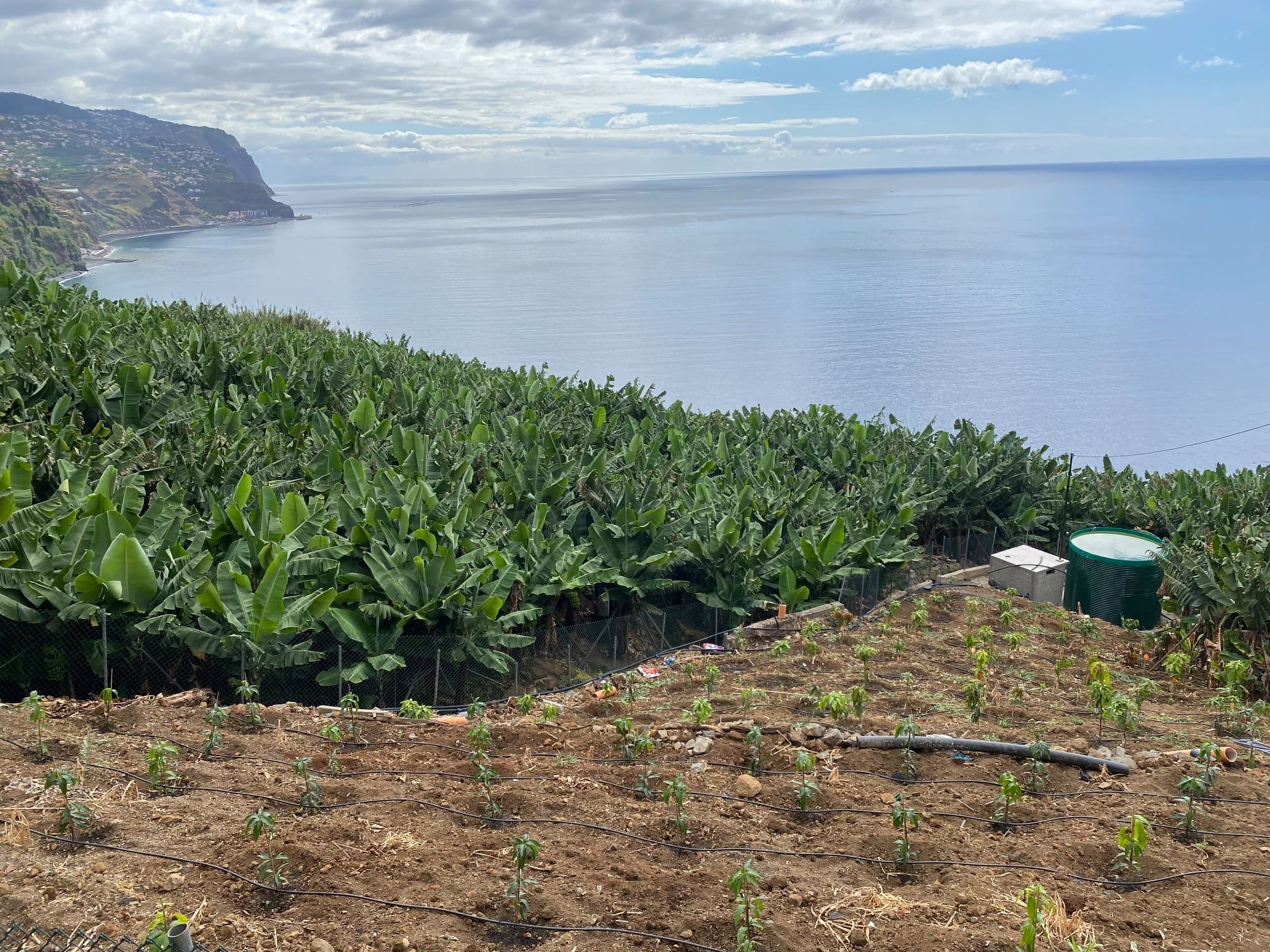 https://pepac.madeira.gov.pt/images/2026/imagens/242497168_4308865562528066_7091585346798906334_n.jpg?1787823038