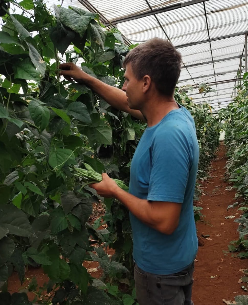 https://pepac.madeira.gov.pt/images/2026/imagens/763966044_1504221848415755_1066222662624158234_n.jpg?1786461282