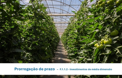 F.1.1.2 Prorrogaçao mini