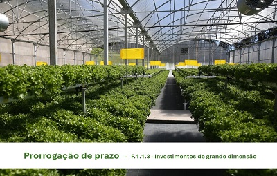 F.1.1.3 Prorrogaçao MINI