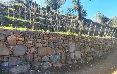 MUROS DE PEDRA mini