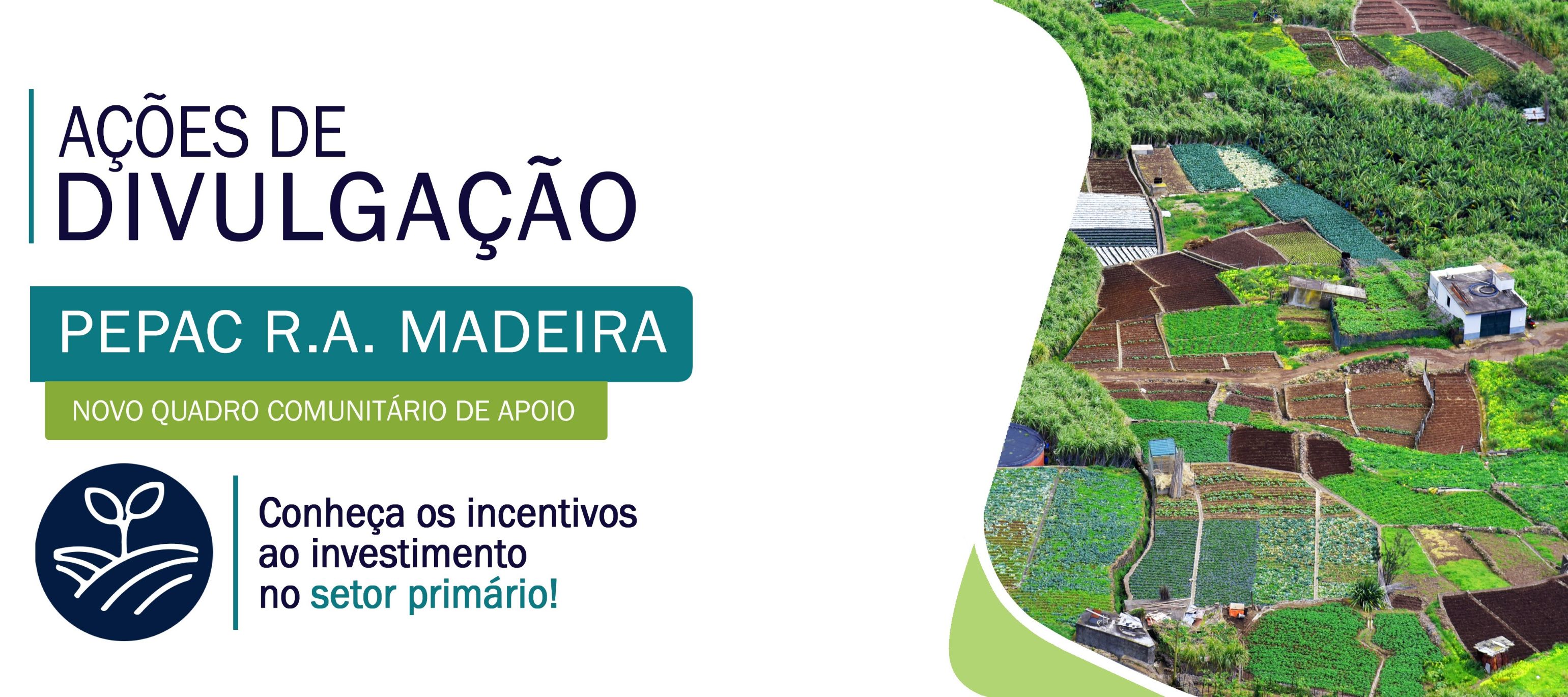 https://pepac.madeira.gov.pt/images/2026/imagens/Panfleto_das_divulga%C3%A7%C3%B5es.jpg?1782145056